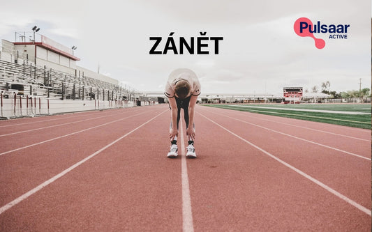 Zánět